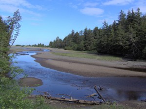 View of Campsite